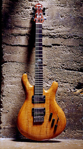 Bob Epstein Custom Guitar